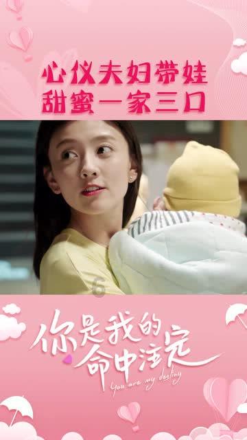 狐狸的旅程