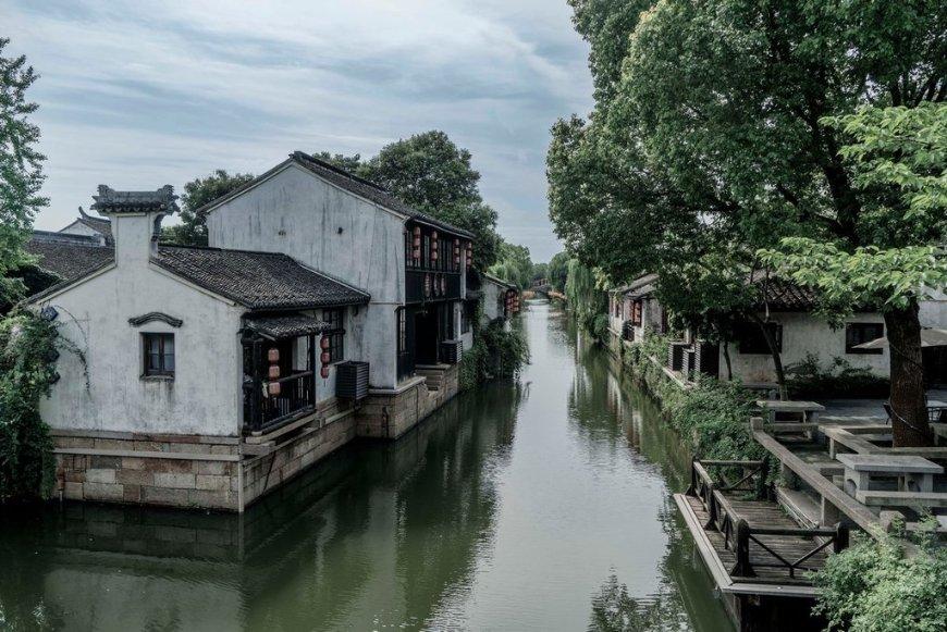 救援小白狼