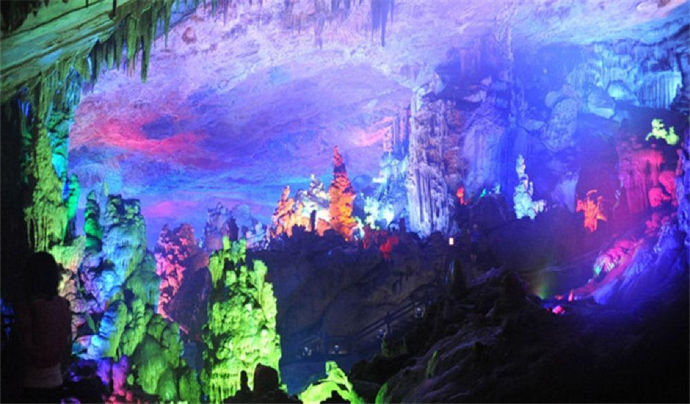 梦想的后院